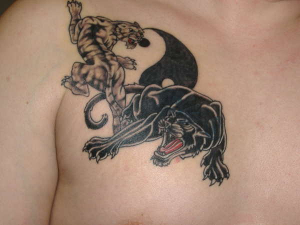 panther and white tiger tattoo