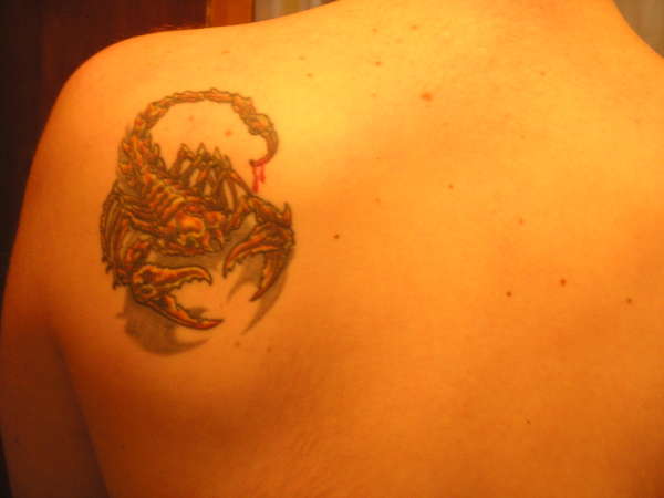 scorpions tattoo
