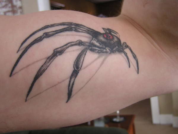 spider tattoo