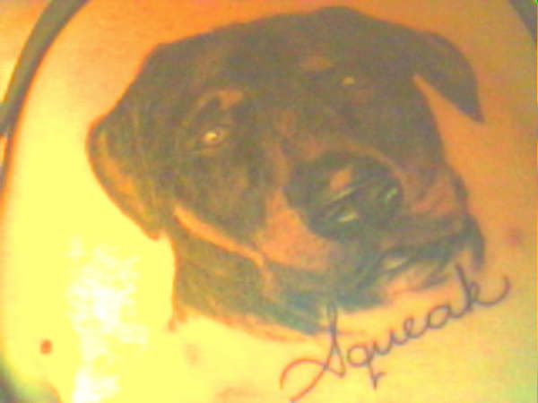 My Rottweiler Squeak tattoo