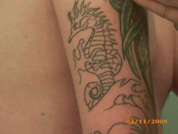 sea horse tattoo