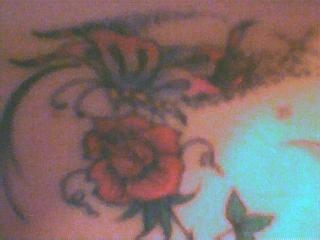 Butterfly on rose tattoo