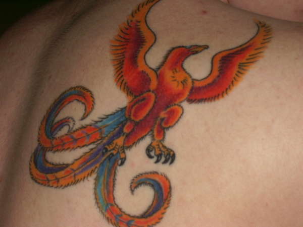 phoenix tattoo tattoo