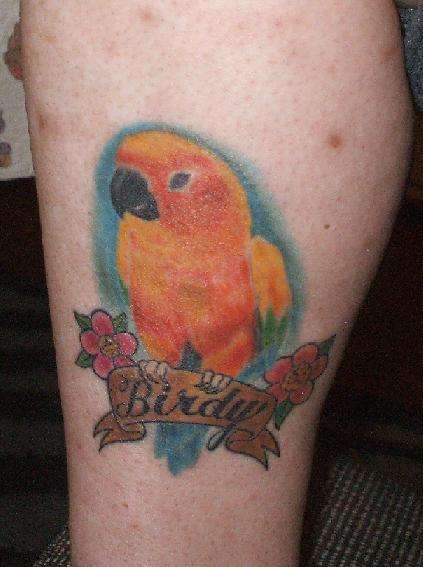 tattoo of my late sun conure birdy tattoo
