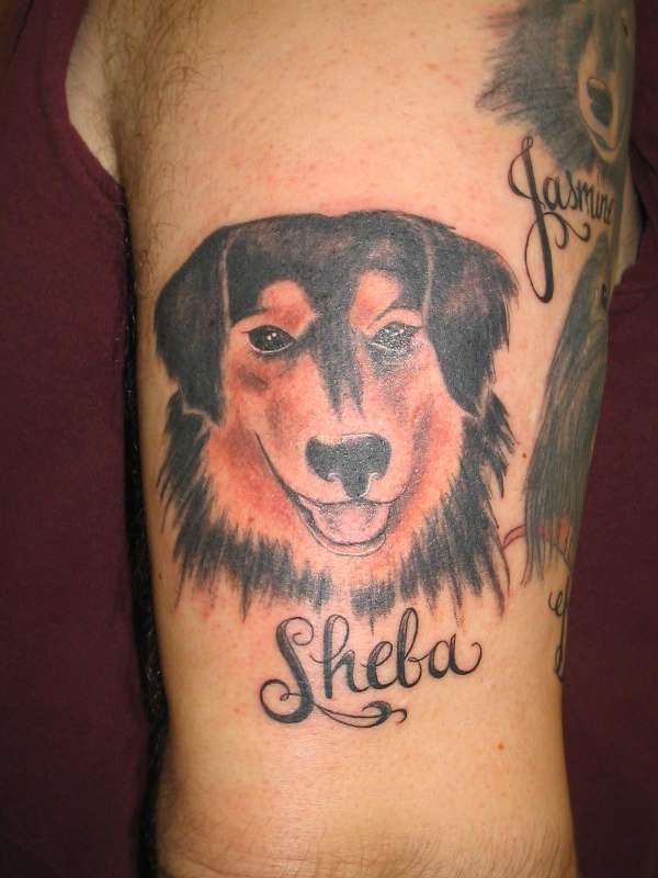 In Memory Of Sheba tattoo