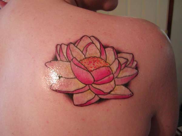 Water Lily all healed up tattoo