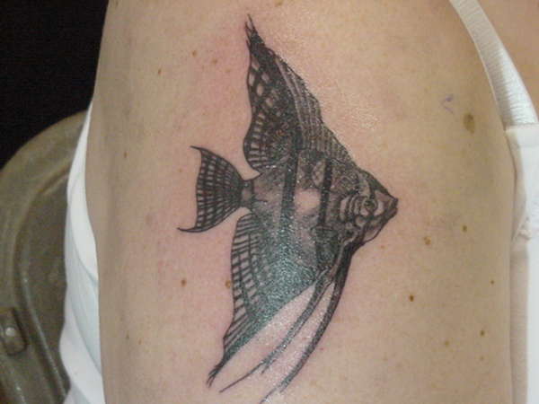 A new fish :) tattoo