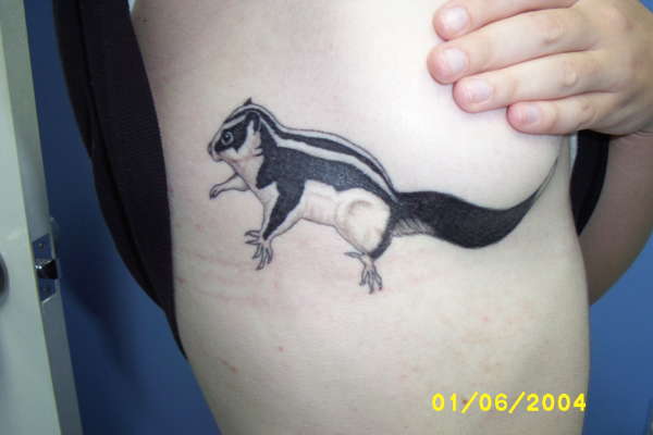 possum tattoo