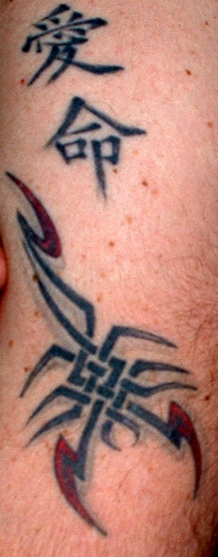Scorpion/Chinese tattoo