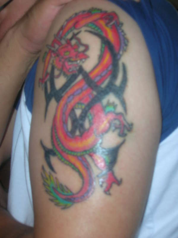 dragon with tribal tattoo