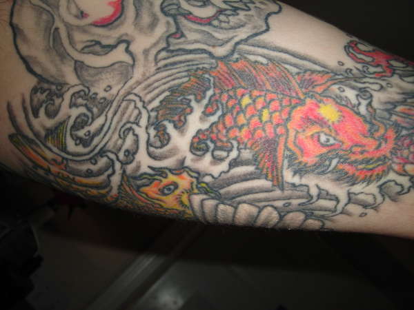 koi turnin into the dragon tattoo