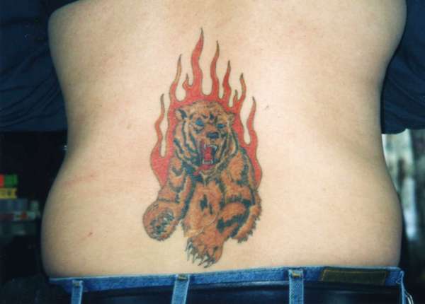 the bear tattoo