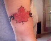 Maple leaf tattoo