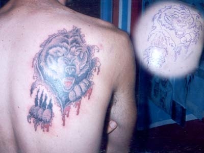 a wolf tattoo