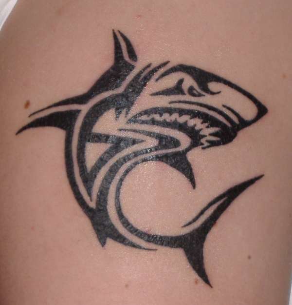 Tribal Shark tattoo