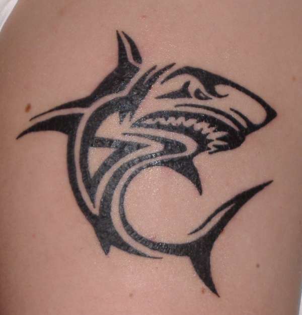 shark tribal tattoo tattoo collections shark tribal tattoo tattoo collections
