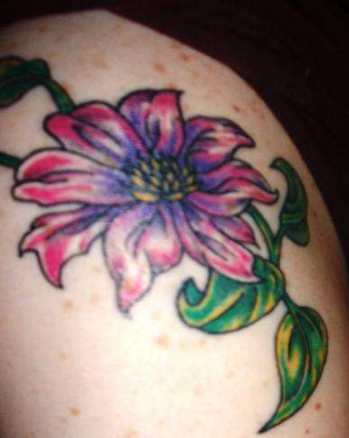 the beginning of my shoulder piece tattoo