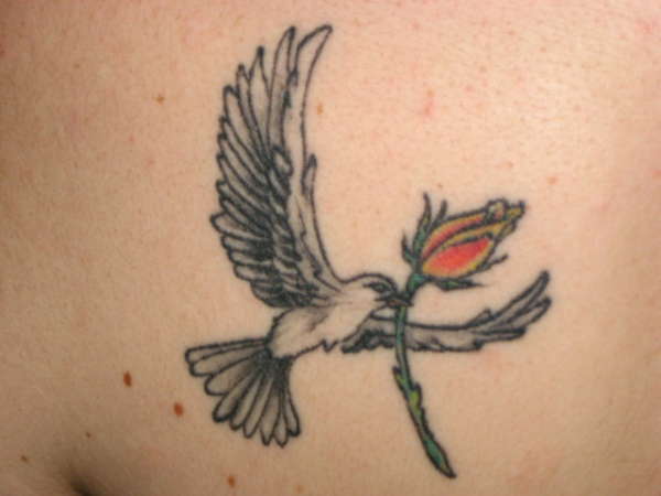 Closeup of Dove tattoo