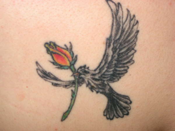 Closeup of Raven tattoo.