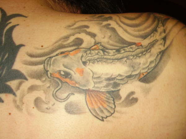 Koi on my back done by Saki Huntington W.V tattoo