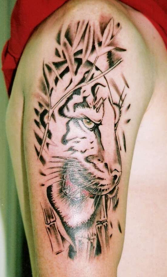Tiger Unfinished tattoo