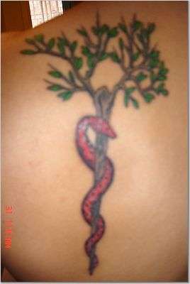 Staff of Aesculapius tattoo