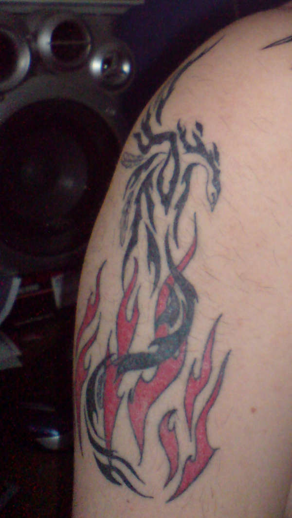 My Phoenix tattoo