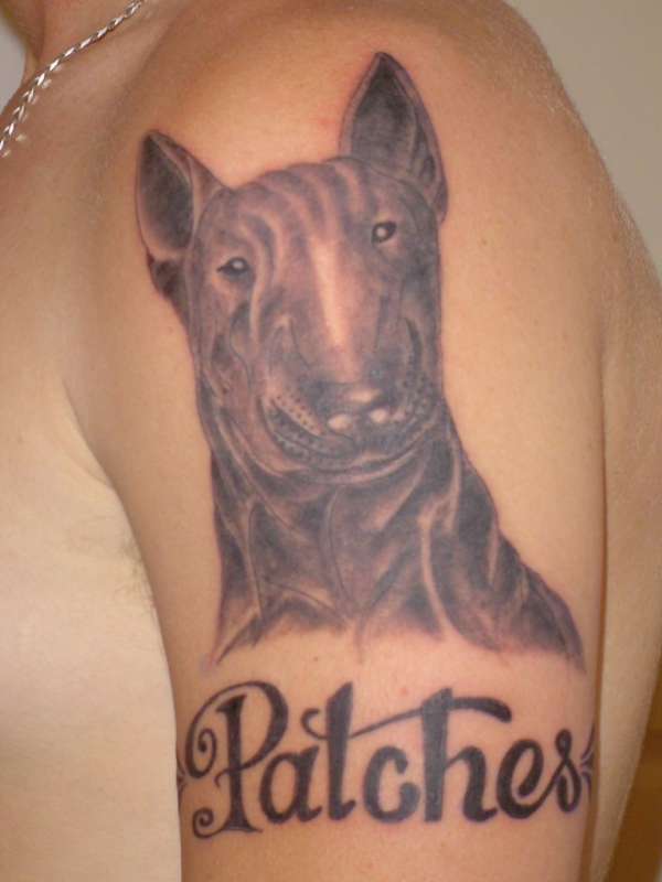 My bull terrier tattoo
