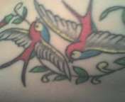 my birds tattoo