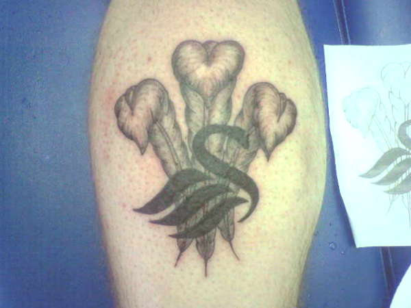 Welsh Swan tattoo