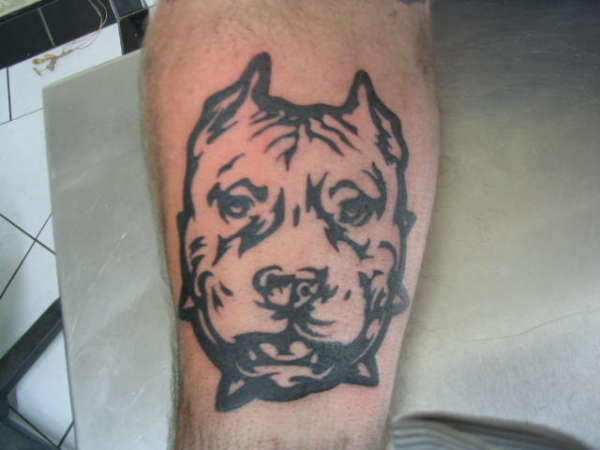 Pit Bull tattoo