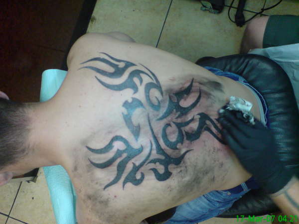 Tribal Phoenix tattoo