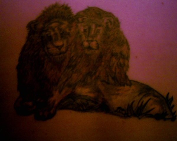 my double lion tattoo tattoo