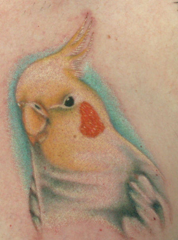 Cockatiel tattoo