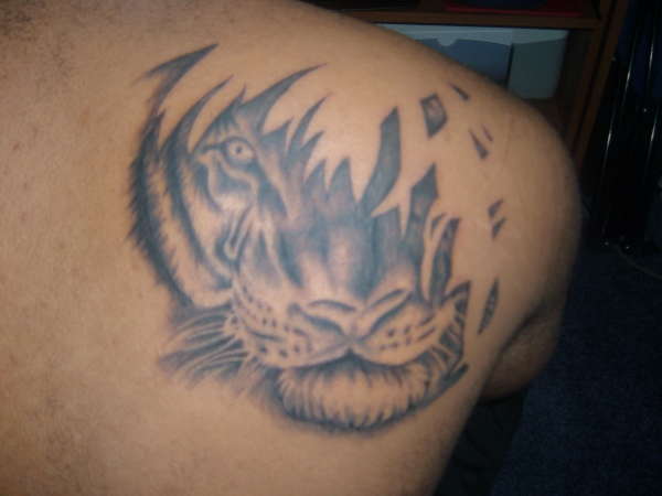 Tiger on Back tattoo