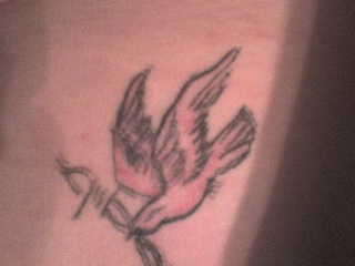 my dove tattoo