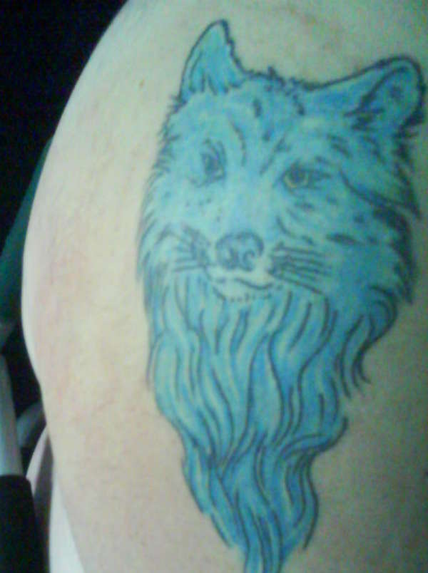 blue wolf tattoo
