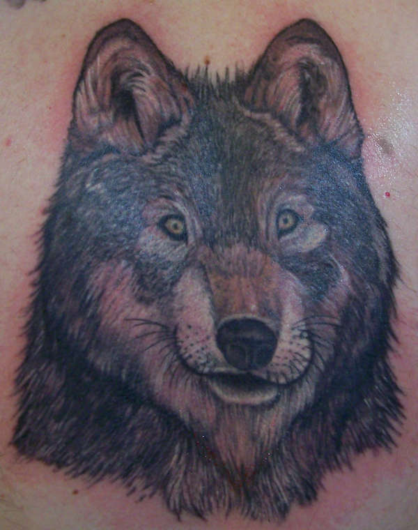 wolf tattoo