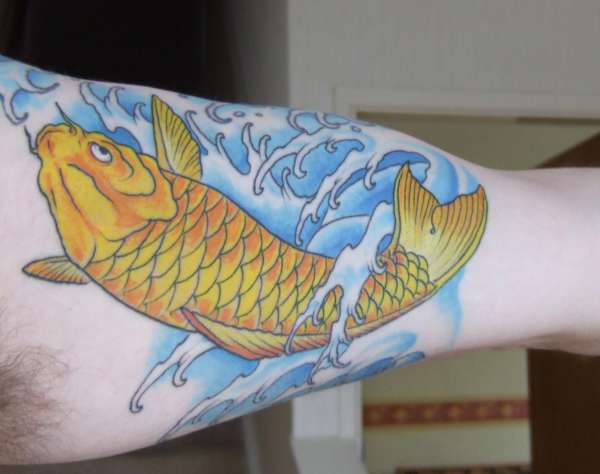 2nd Koi tattoo