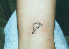 tiny dolphin tattoo