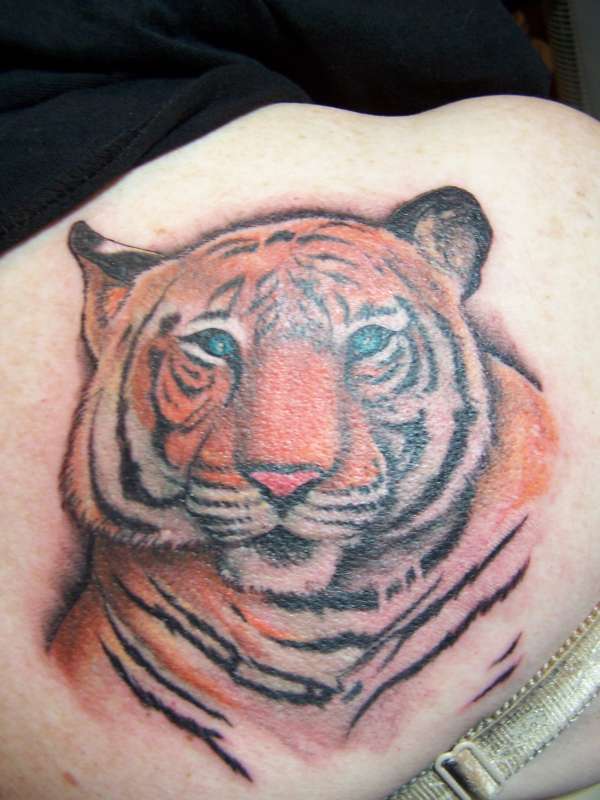 tiger tattoo