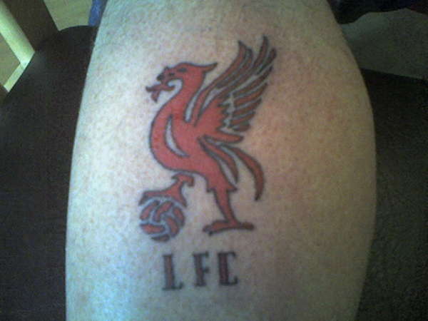 brians liverbird tattoo