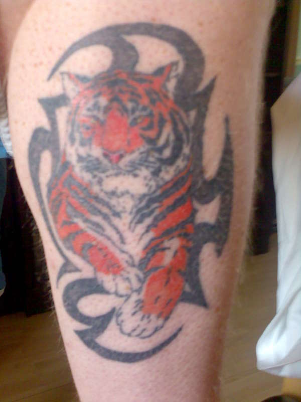 roys tiger with tribal tattoo