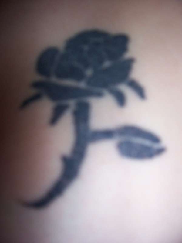 the rose tattoo