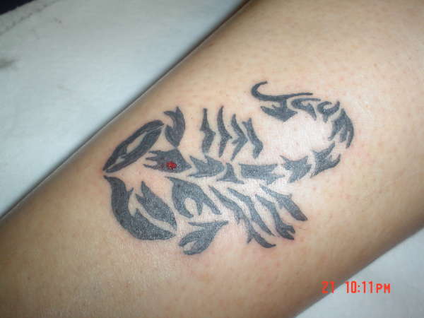 tribal scorpion tattoo