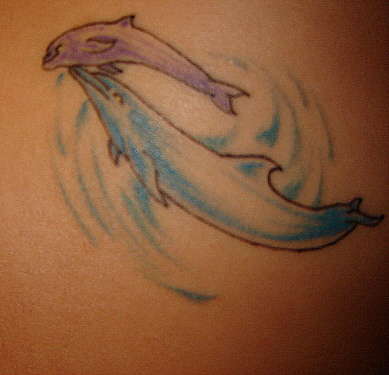 Dolphins tattoo