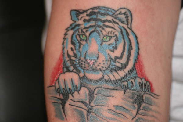 white tiger tattoo