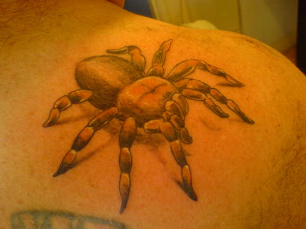 Tarantula tattoo