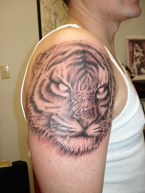 Feline tattoo