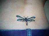 dragonfly purple n blue tattoo